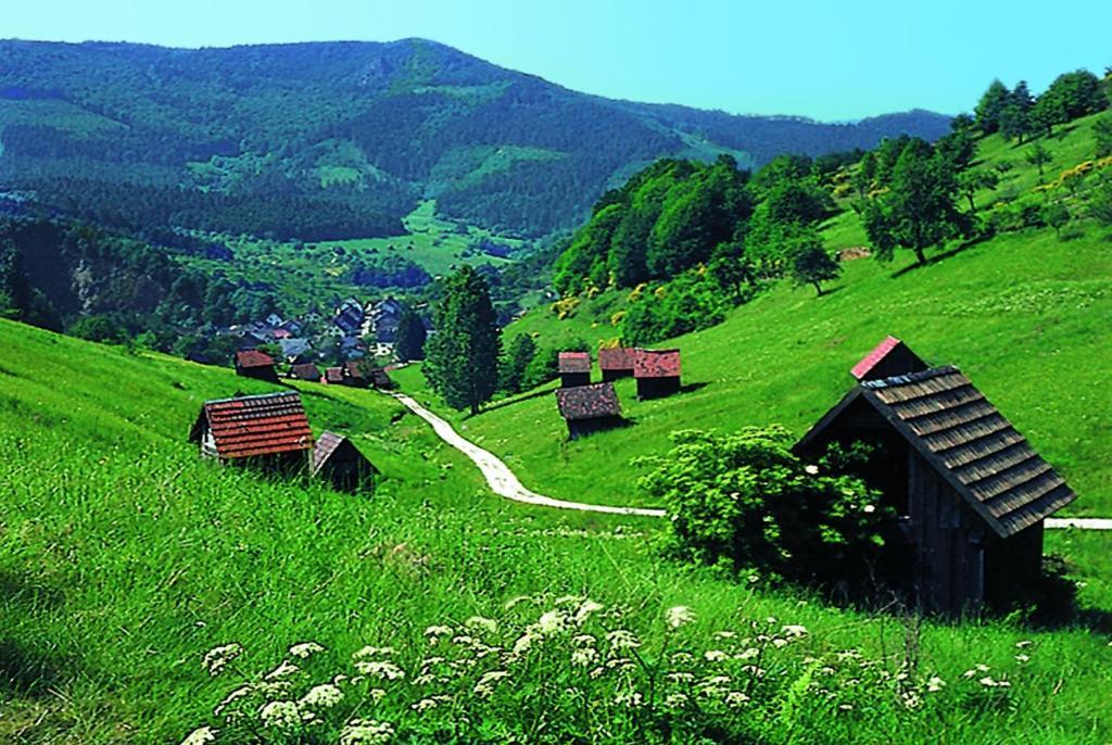 Hotel Schwanen Freudenstadt Dış mekan fotoğraf